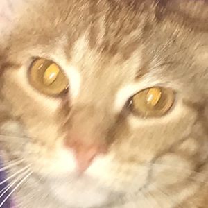 Meet your Posher, Ayla